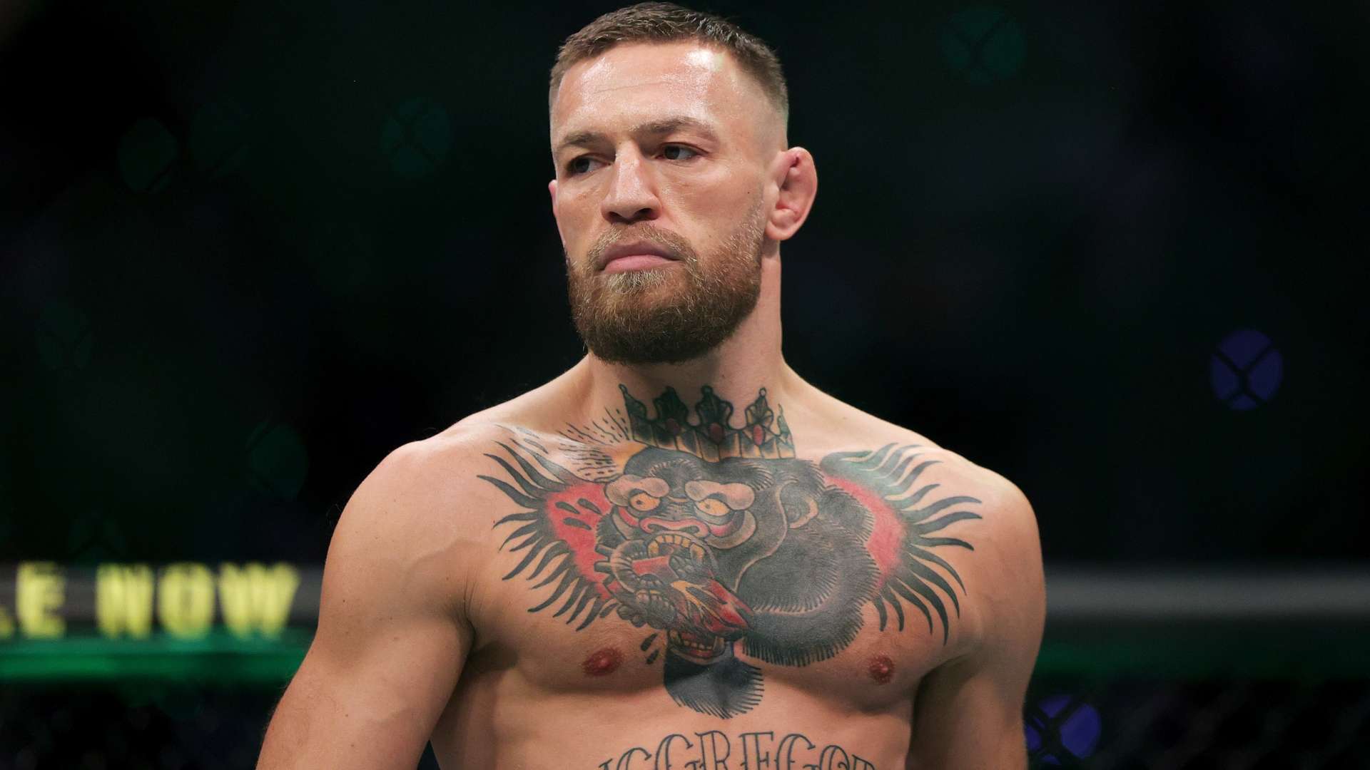 宋亚东获得 宋亚东获得