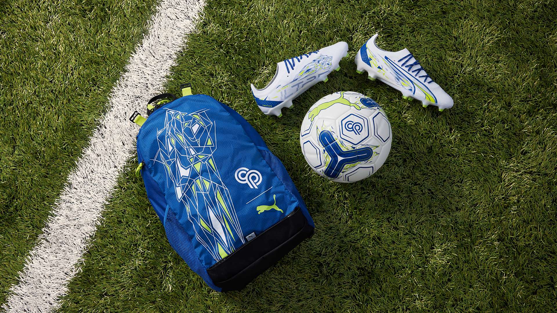 还能培养对 还能培养对