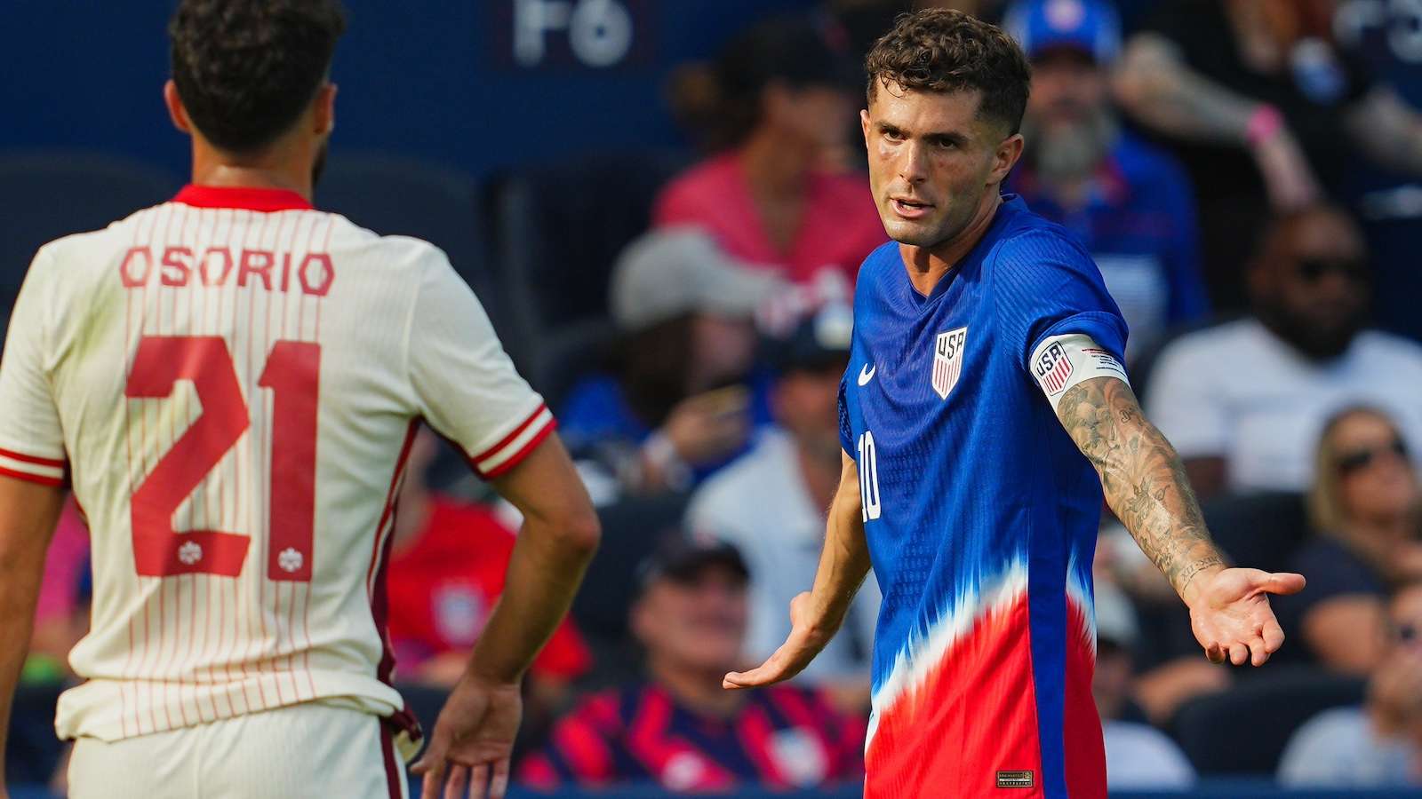 这些标签究 这些标签究